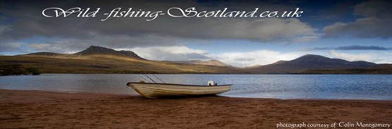top_banner wild fishing scotland